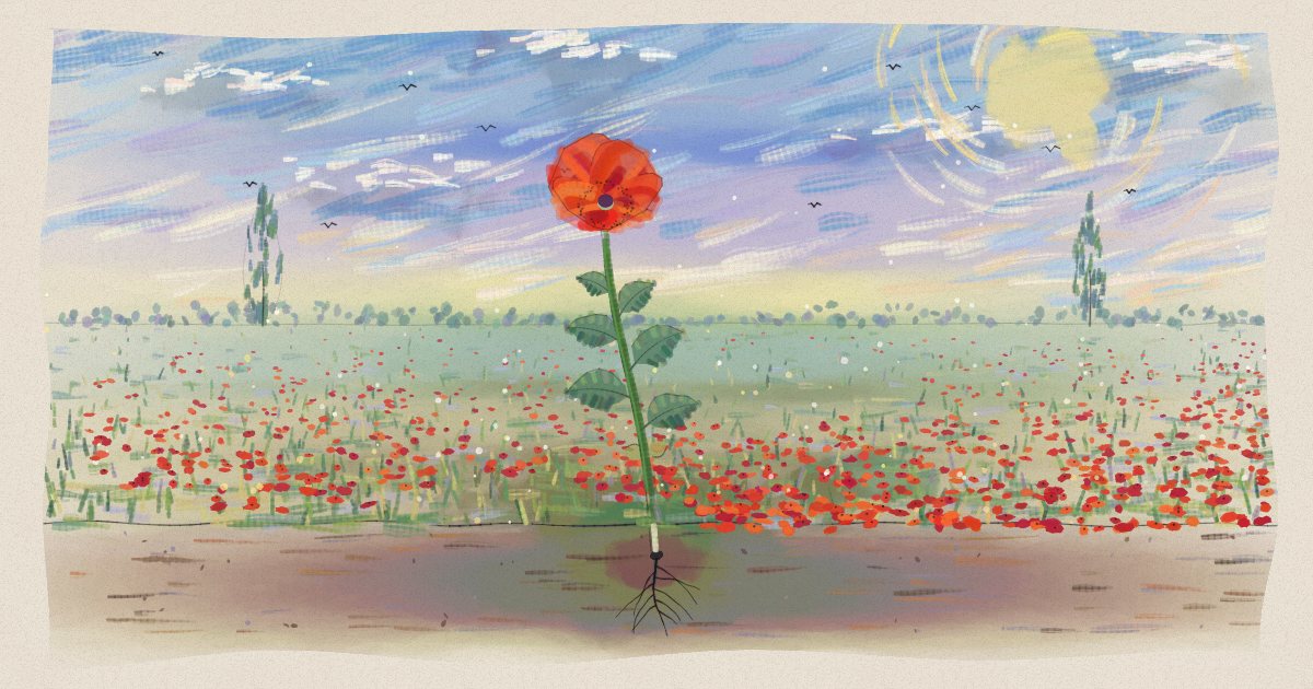 A watercolour poppy field under a brushy impressionist sky, one tall red poppy in front, its roots drawn in ink in the soil below.